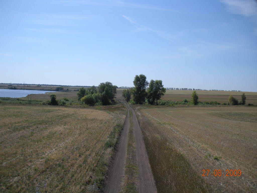 Грушине з panoramio.com - Грушине