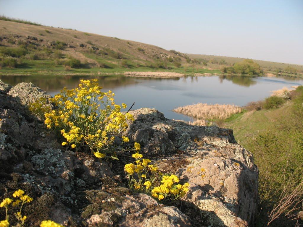 Розанівка з panoramio.com - Rozanivka