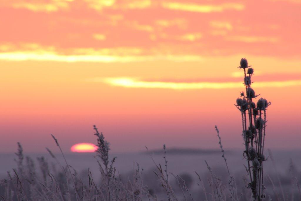 Чернихівці з panoramio.com - Чернихівці