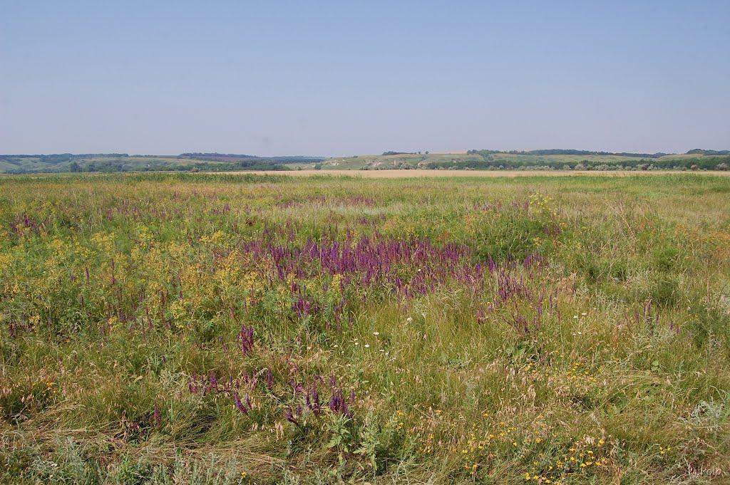 Нова Астрахань з panoramio.com - Нова Астрахань