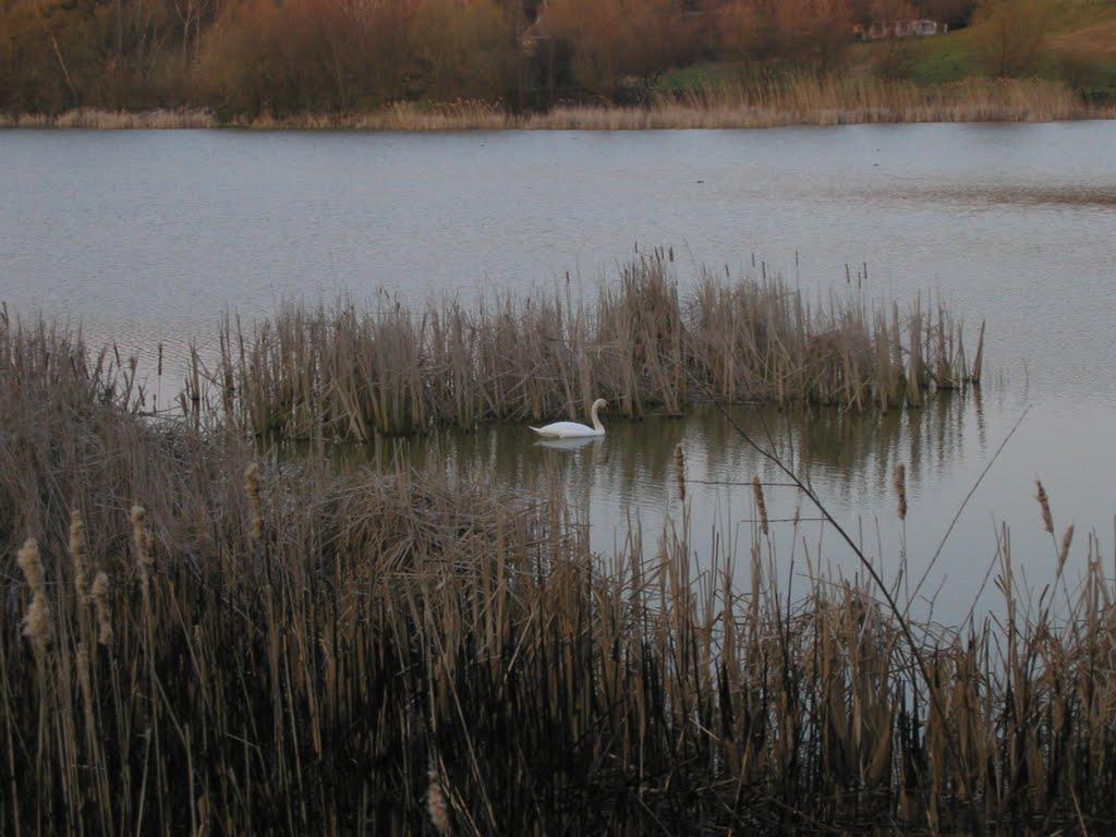 Медвин з panoramio.com - Медвин