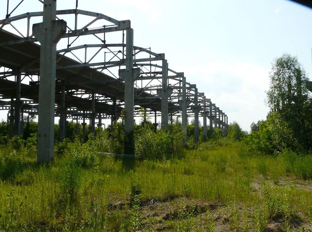 Вітове з panoramio.com - Вітове