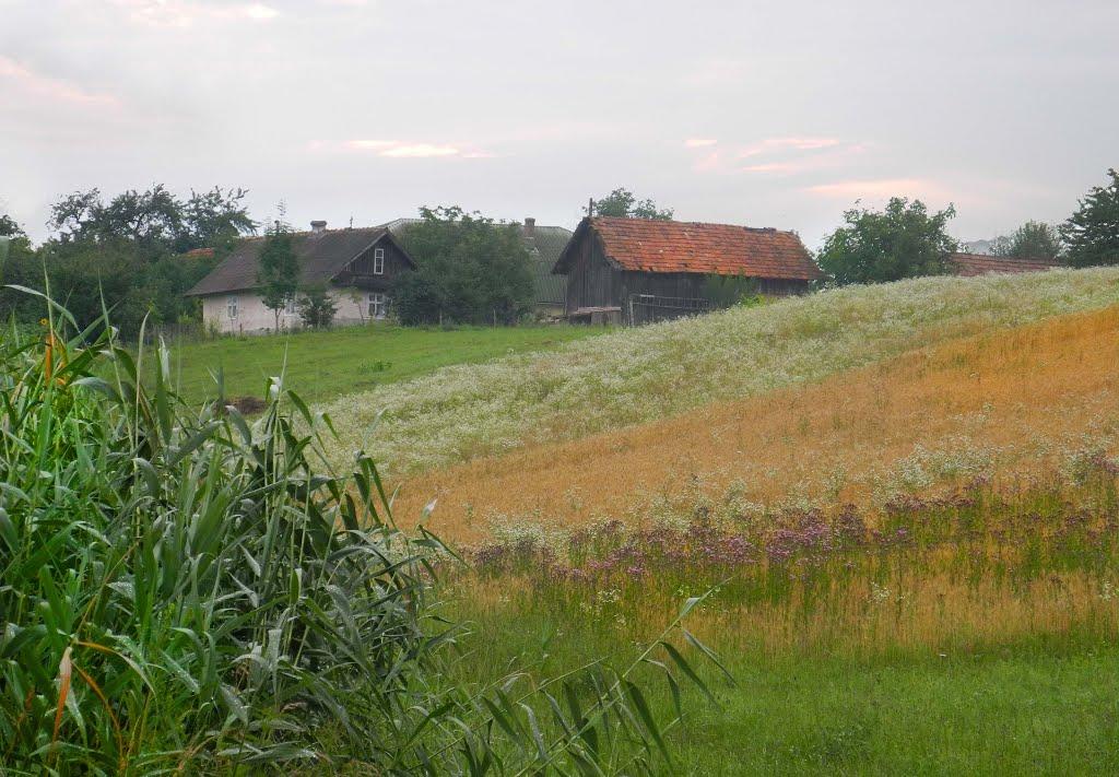 Добрівляни з panoramio.com - Добровляны
