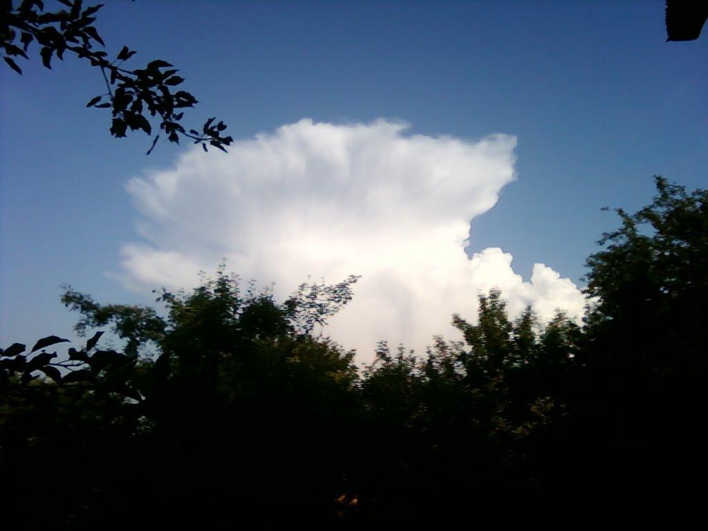 Гришки з panoramio.com - Гришки