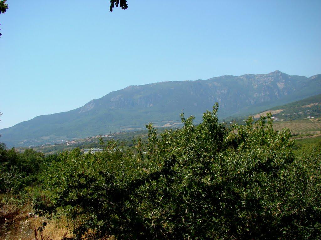 Запрудне з panoramio.com - Zaprudne