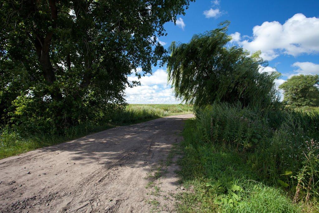 Харліївка з panoramio.com - Харліївка