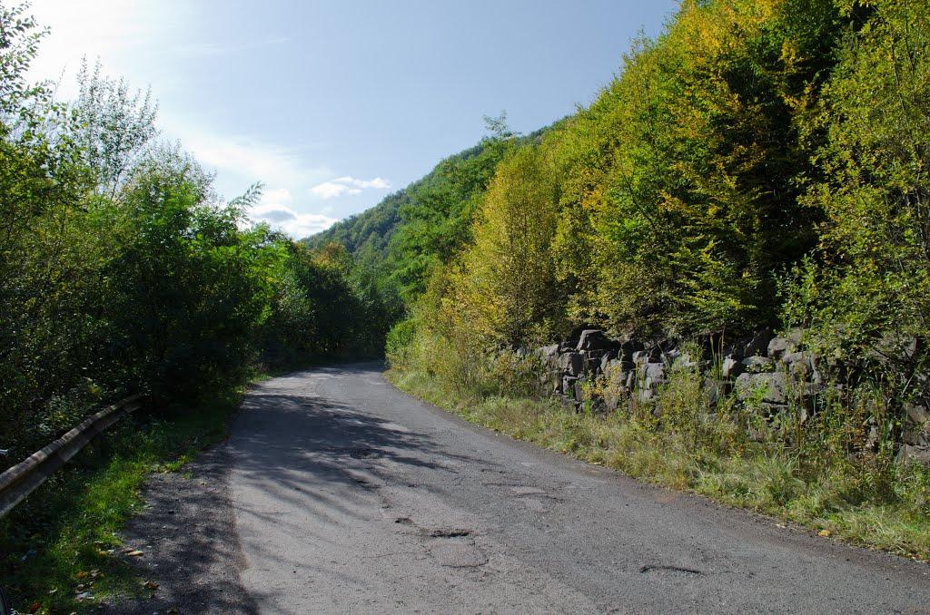 Чорноголова з panoramio.com - Черноголова