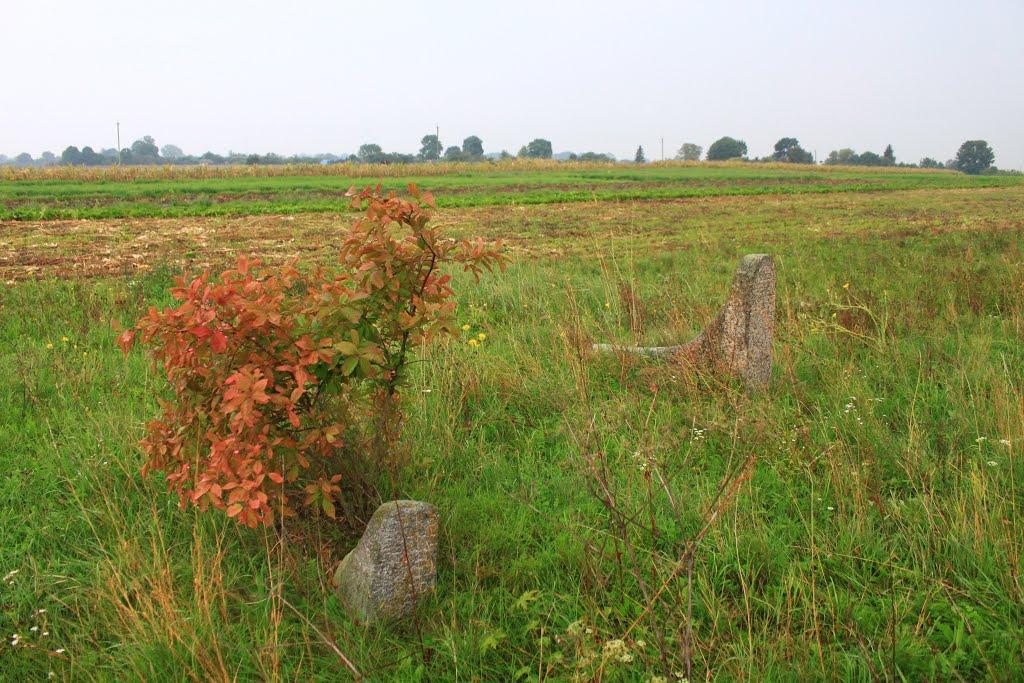Ходорків з panoramio.com - Ходорков