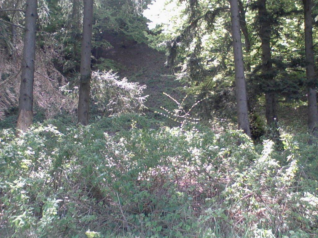 Хижа з panoramio.com - Хижа