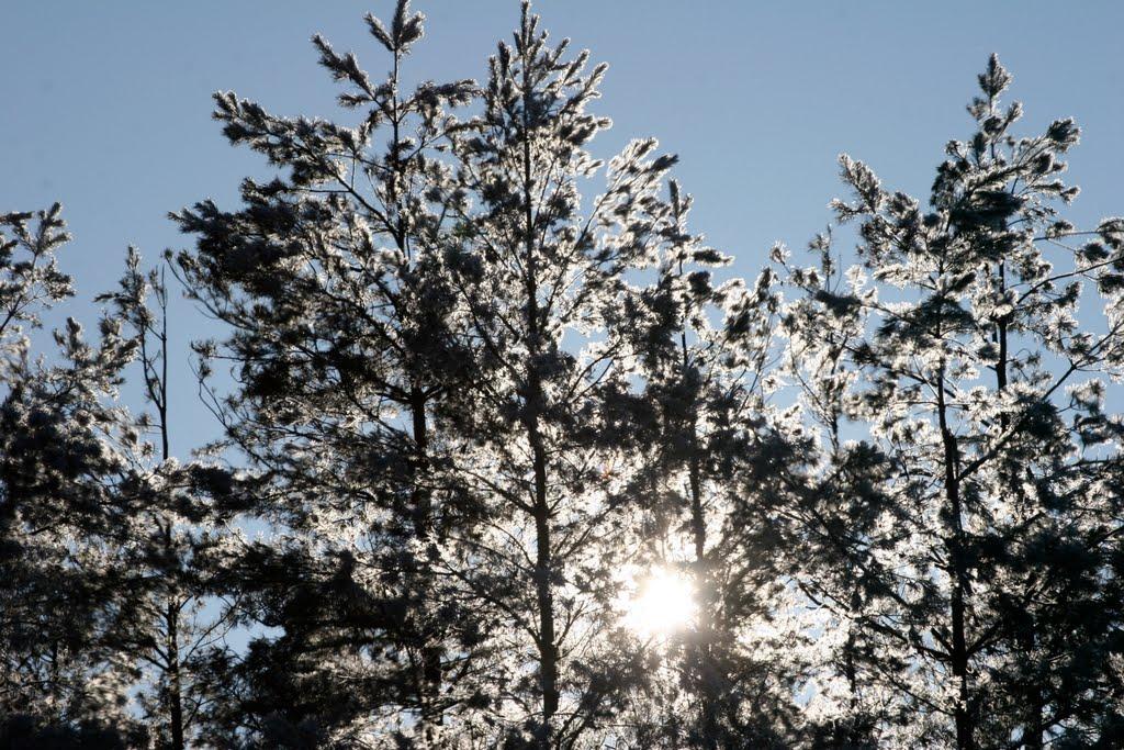 Малий Букрин з panoramio.com - Малий Букрин