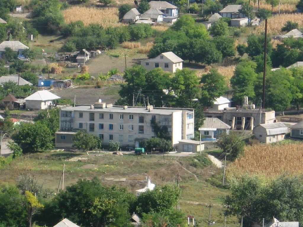 Домниця з panoramio.com - Домница