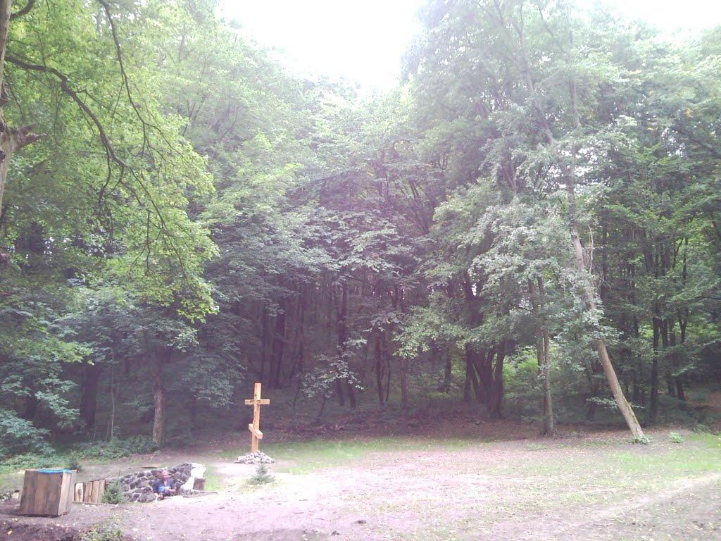 Григорівка з panoramio.com - Григорівка