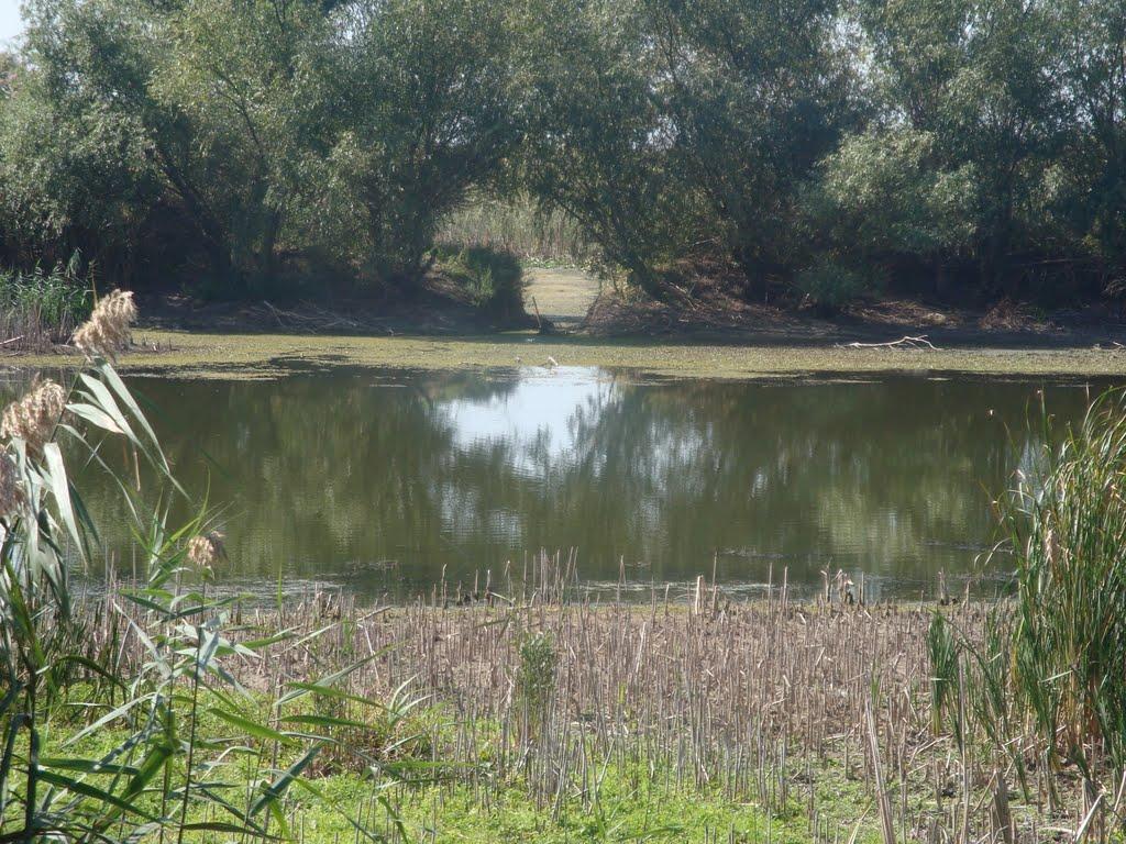 Матроська з panoramio.com - Матросская