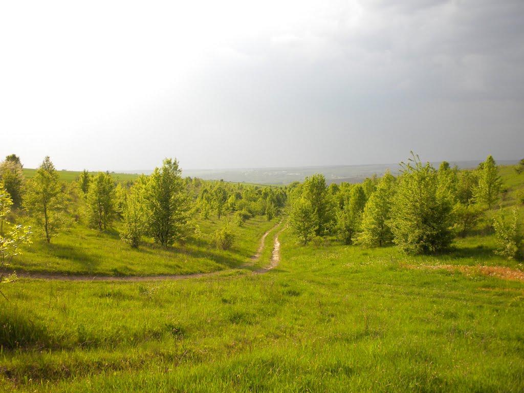 Висока Гребля з panoramio.com - Висока Гребля