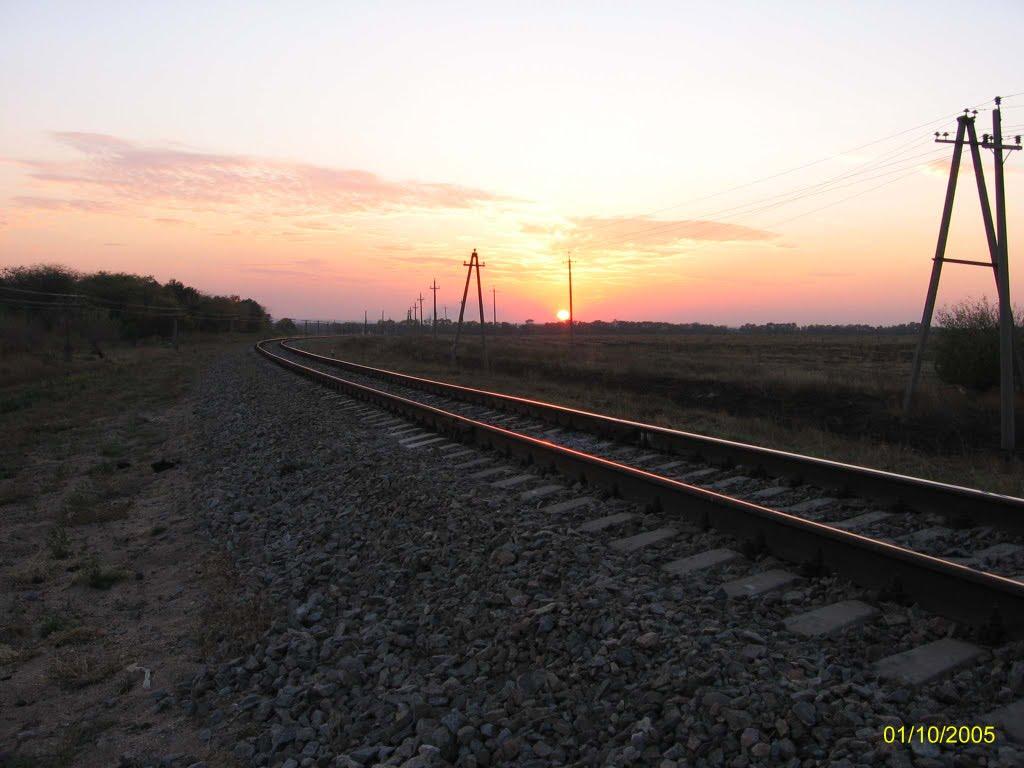 Покровське з panoramio.com - Покровське