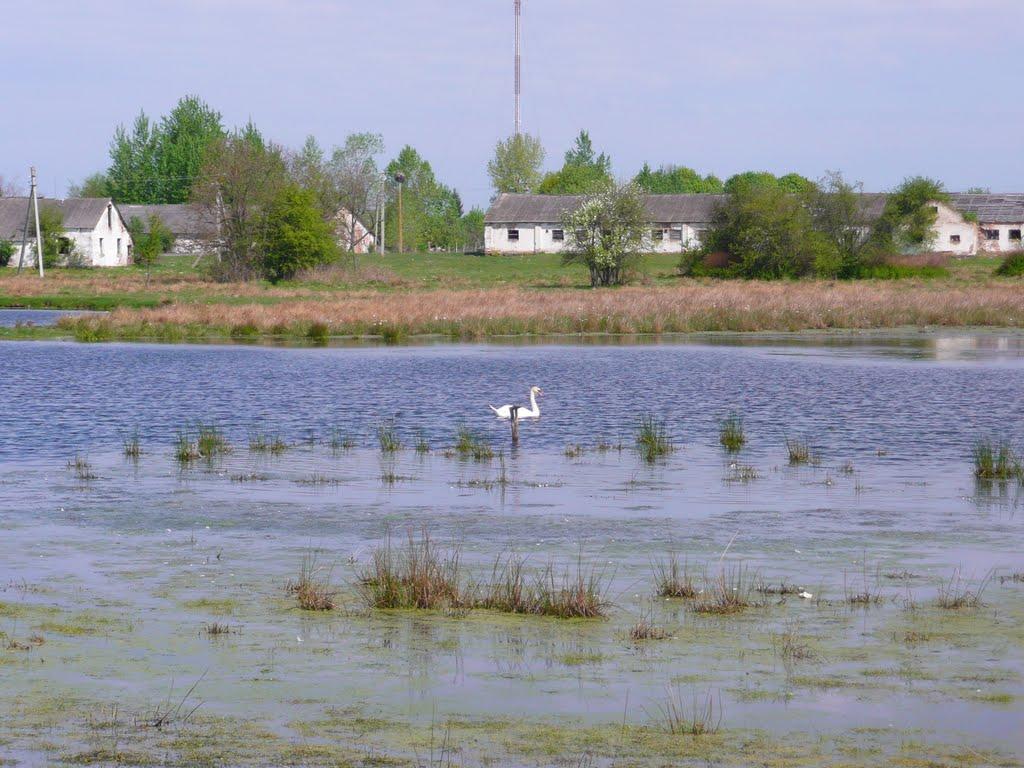 Полиці з panoramio.com - Полиці