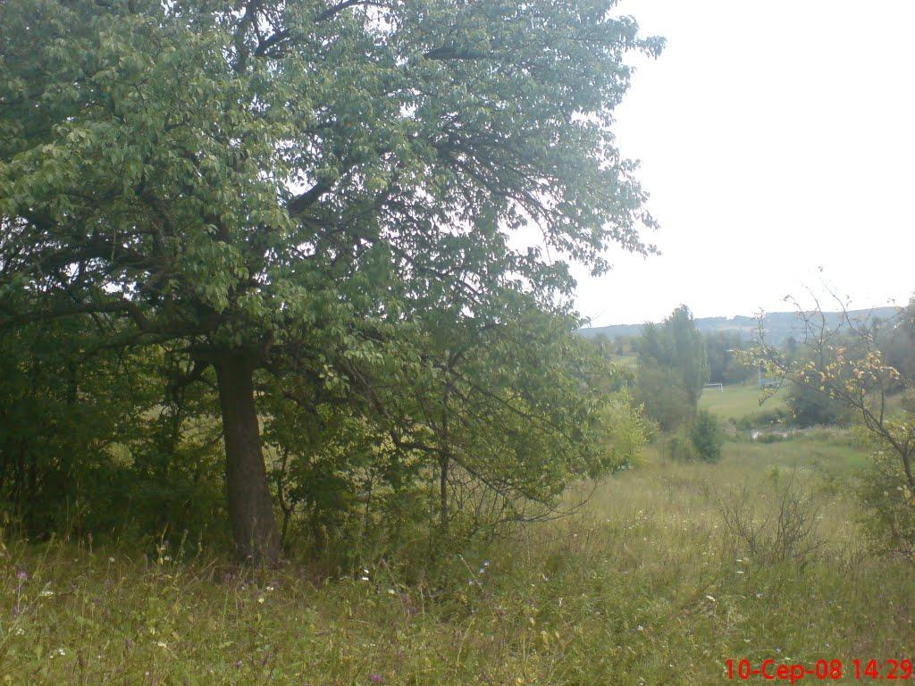 Григорівка з panoramio.com - Григорівка