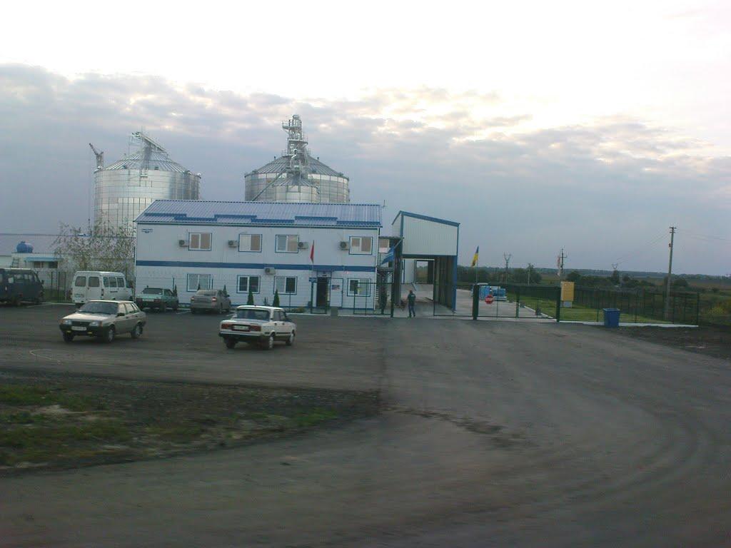 Рай-Олександрівка з panoramio.com - Рай-Александровка