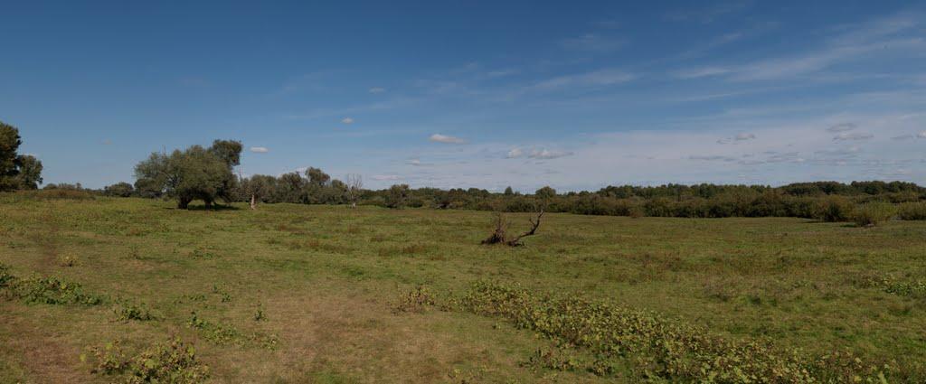 Миси з panoramio.com - Миси