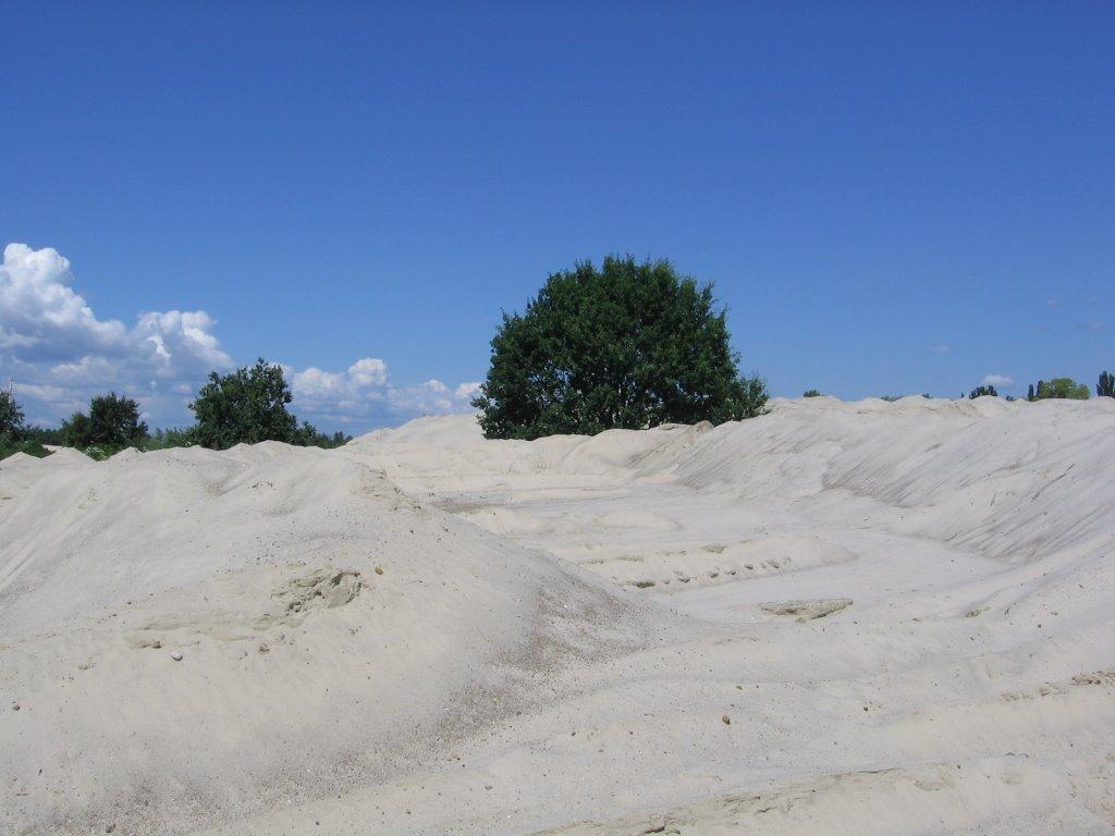 Козин з panoramio.com - Kozyn