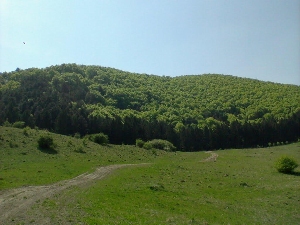 Хижа з panoramio.com - Хижа