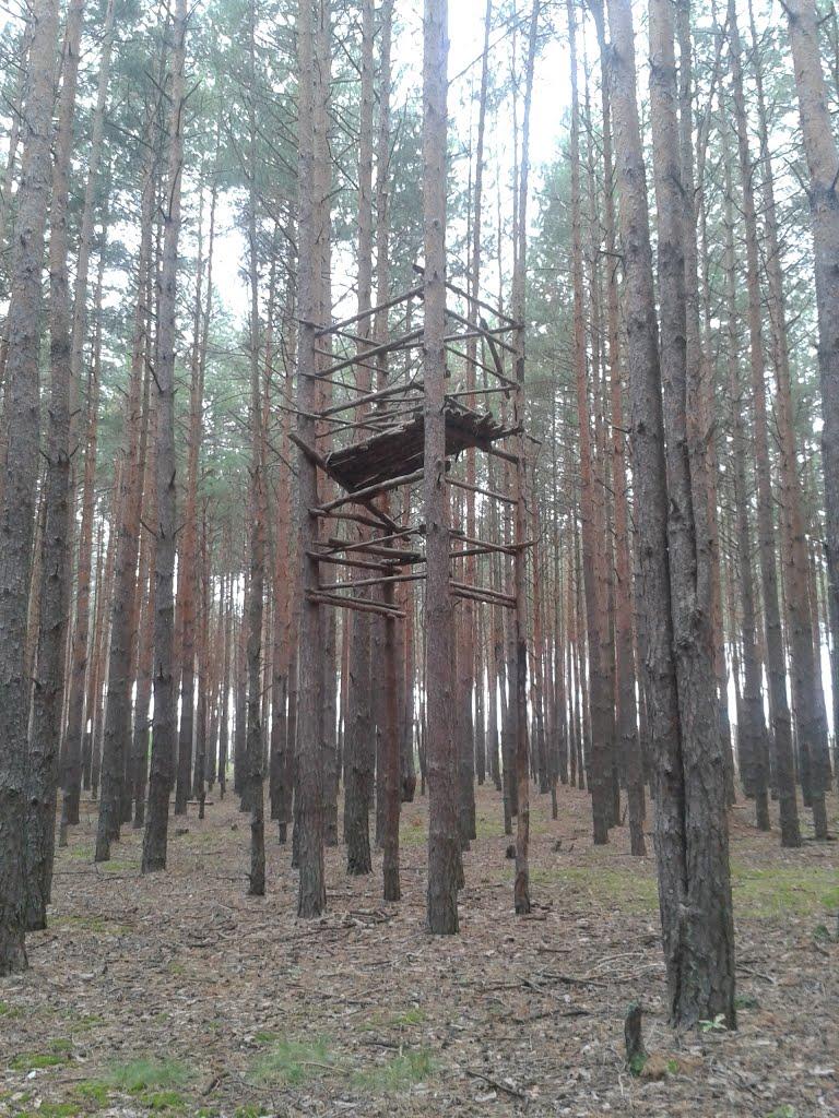 Круги з panoramio.com - Круги