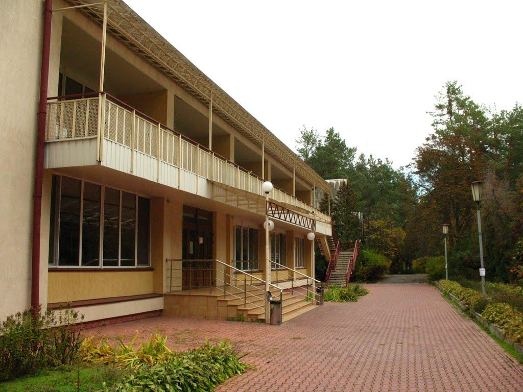 Козин з panoramio.com - Козин