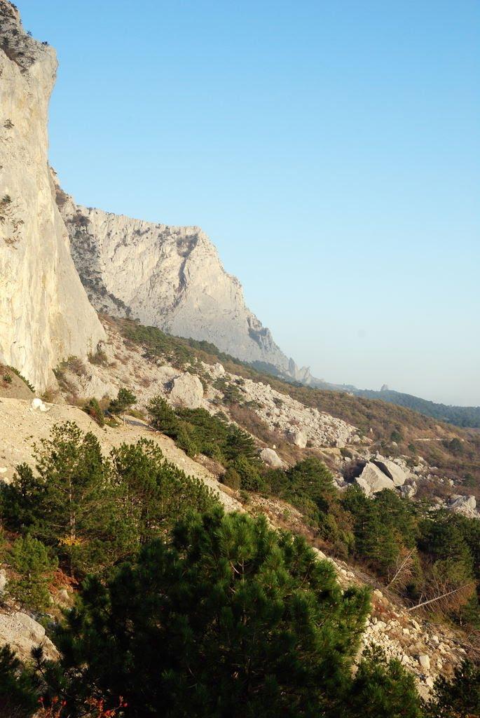 Олива з panoramio.com - Olyva