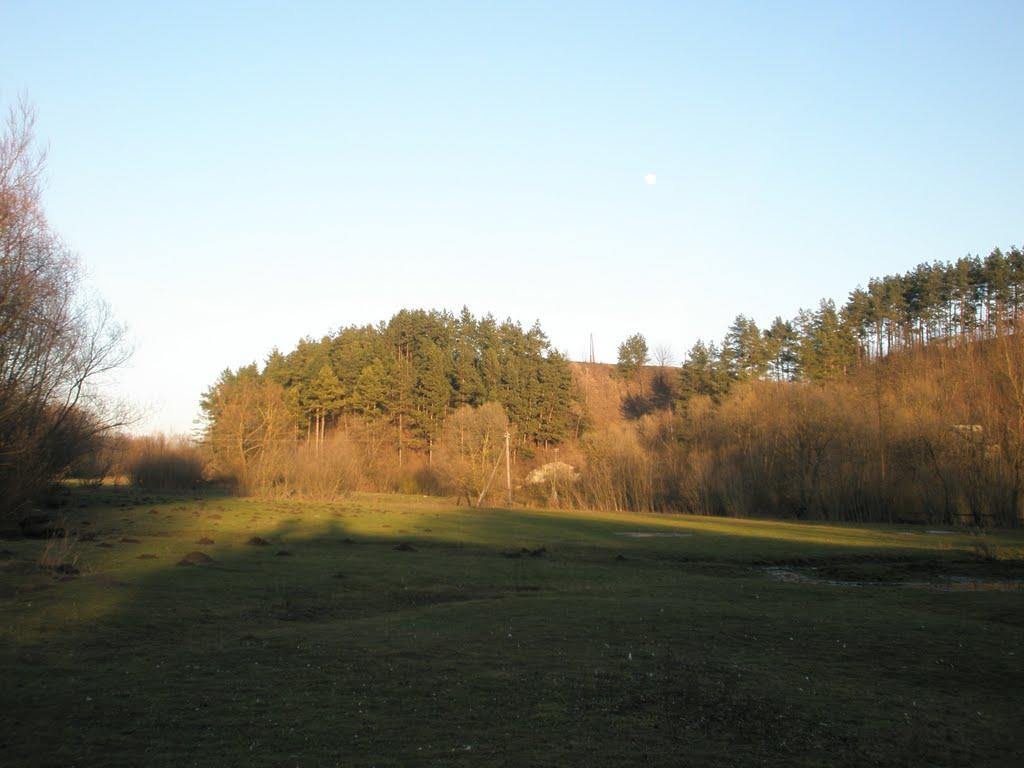 Вишгородок з panoramio.com - Вишгородок