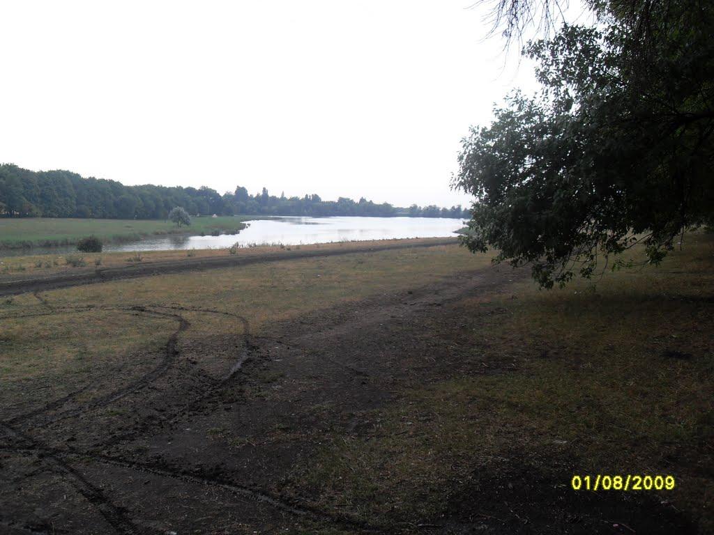 Тельманове з panoramio.com - Тельманове