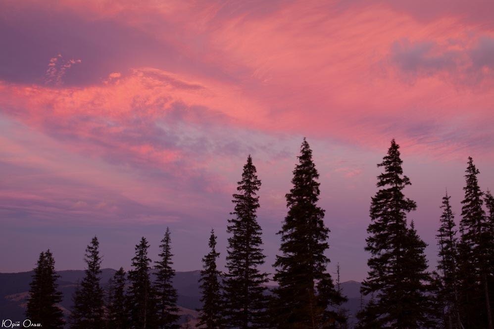 Кривопілля з panoramio.com - Кривопілля