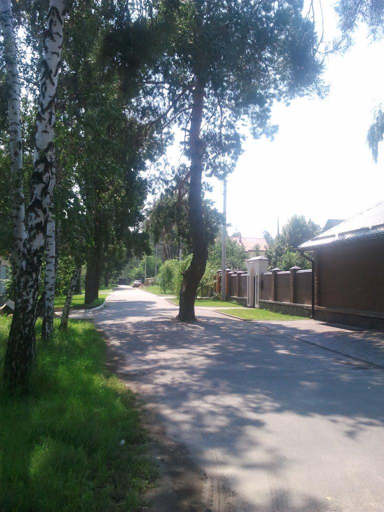 Козин з panoramio.com - Козин