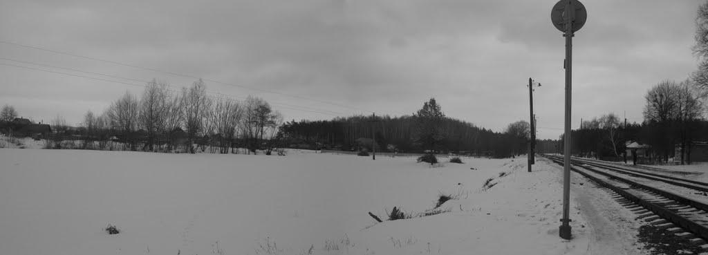 Кам'янка з panoramio.com - Каменка