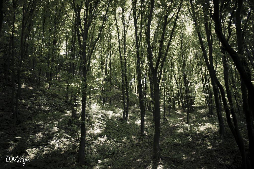 Любеч з panoramio.com - Lyubech