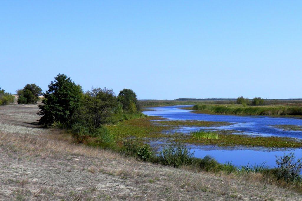 Млин з panoramio.com - Млын