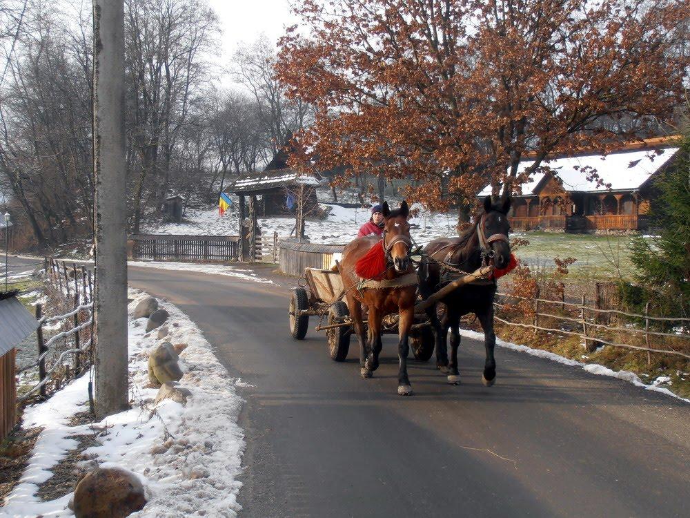 Біла Церква з panoramio.com - Біла Церква