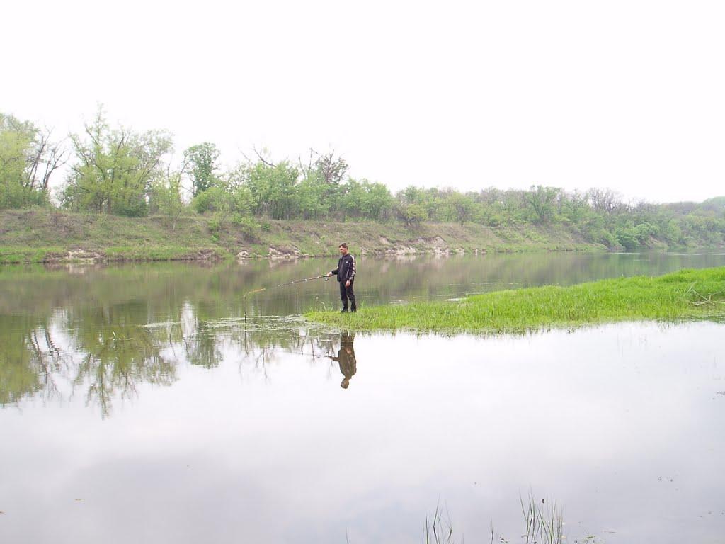 Станично-Луганське з panoramio.com (ч.2) - Станично-Луганское