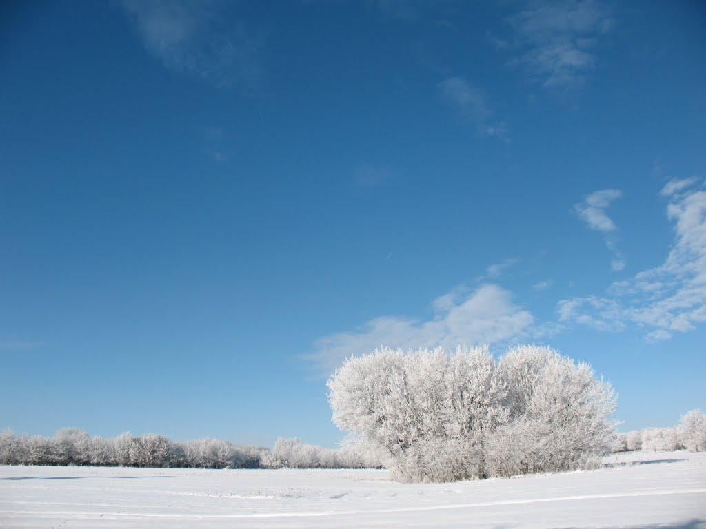 Пашківка з panoramio.com - Pashkivka