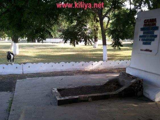 Шевченкове з panoramio.com - Шевченкове