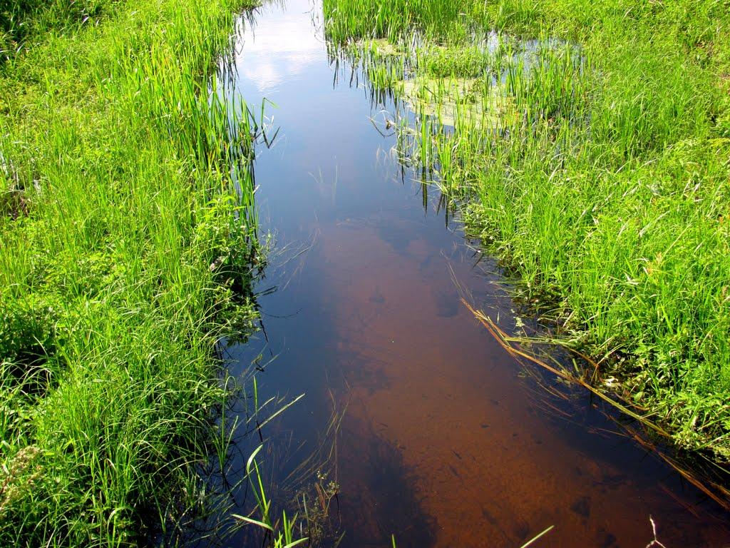 Сопачів з panoramio.com - Сопачів