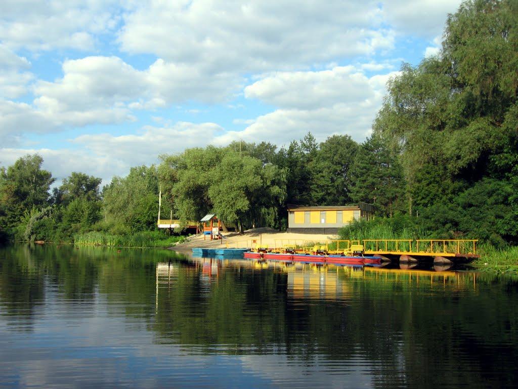 Кияшки з panoramio.com - Кияшки