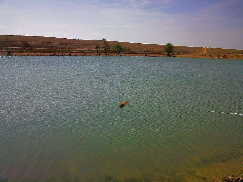 Кочергіне з panoramio.com - Кочергино