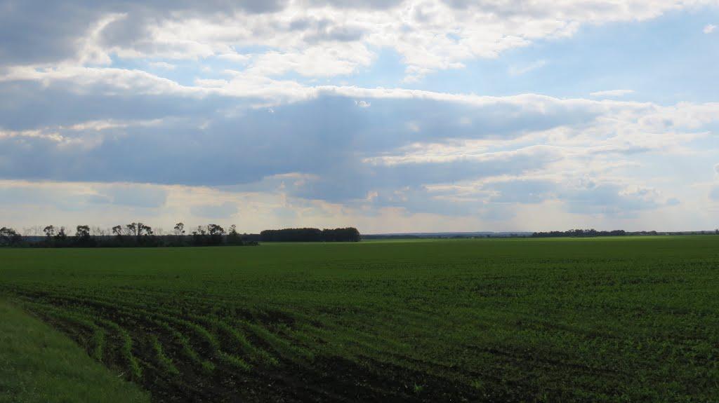 Крюкове з panoramio.com - Крюково