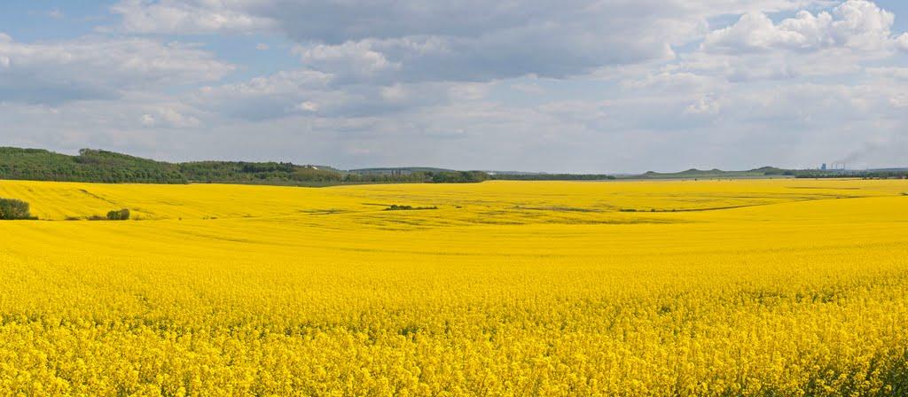 Нігин з panoramio.com - Негин