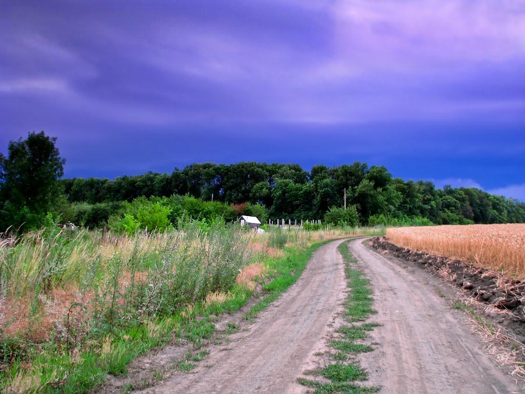 Циркуни з panoramio.com - Циркуны