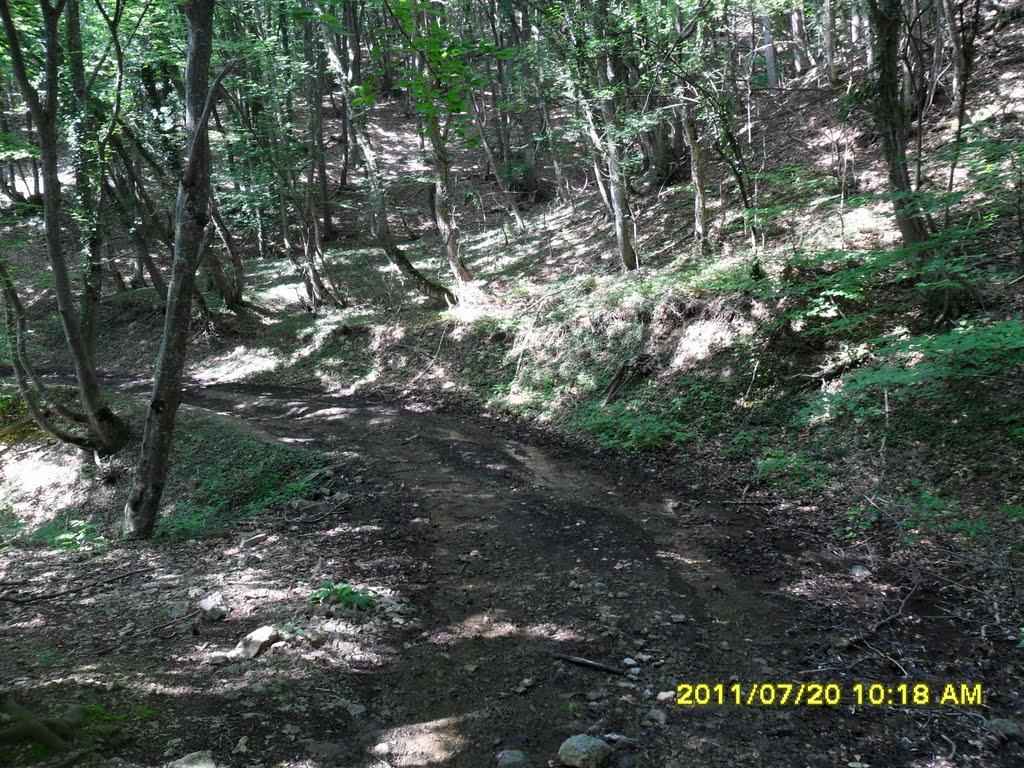 Запрудне з panoramio.com - Zaprudne