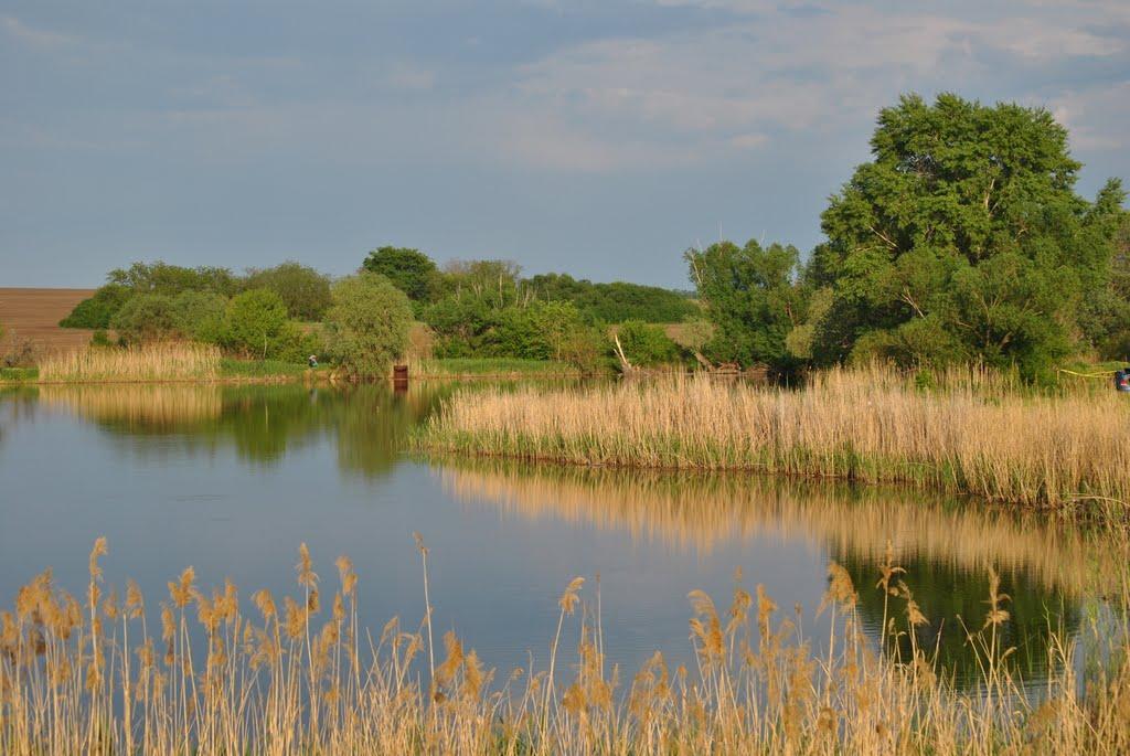 Степний Яр з panoramio.com - Степний Яр