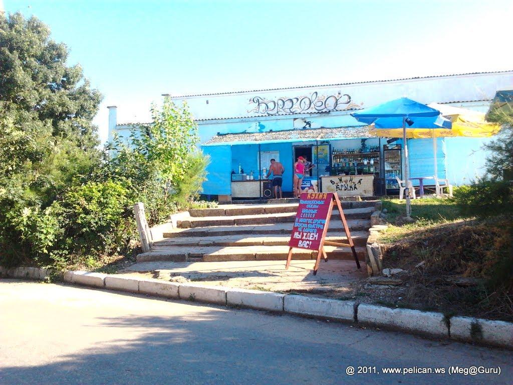 Берегове з panoramio.com - Берегово