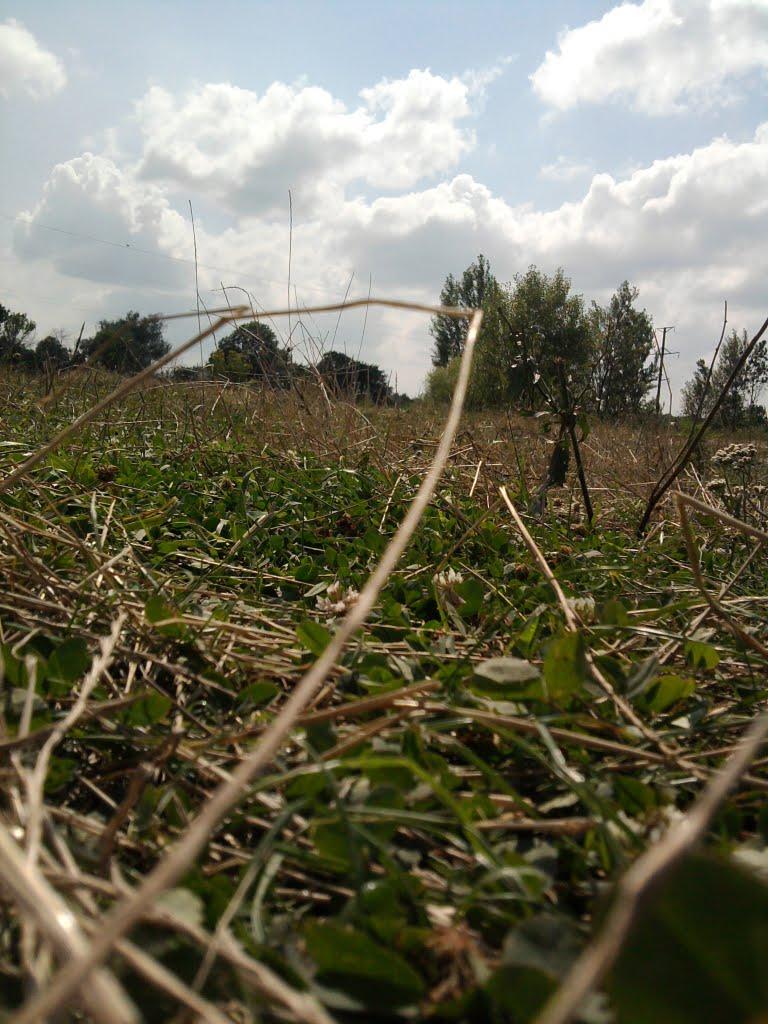 Ковильне з panoramio.com