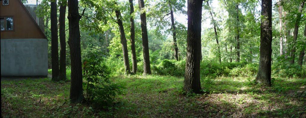 Ворзель з panoramio.com - Ворзель